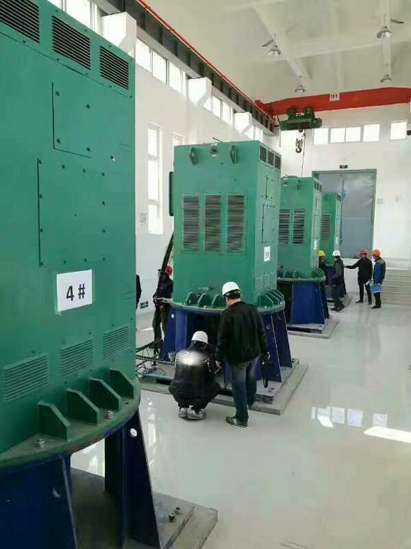 YKK710-12某污水处理厂使用我厂的立式高压电机安装现场一年质保